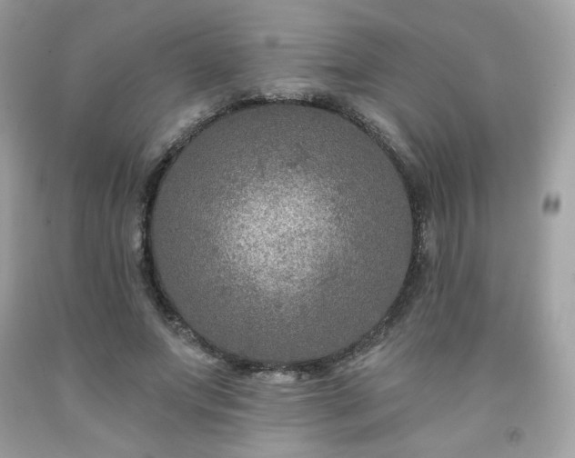 X0000091930687200709121559