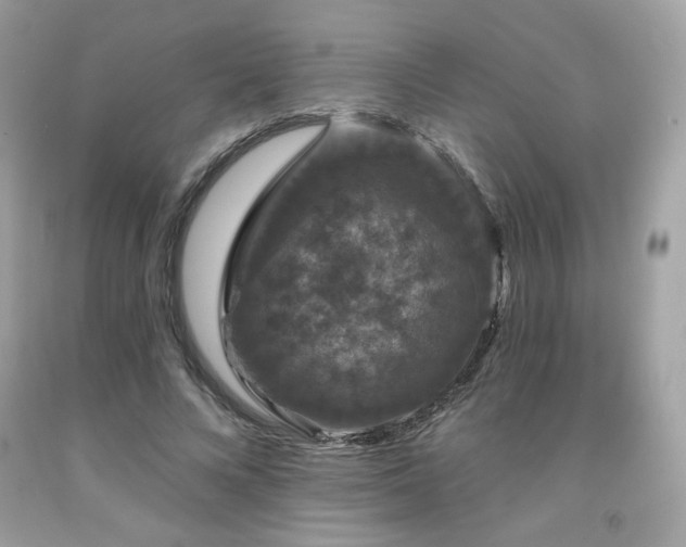 X0000091930688200709121559