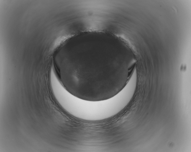 X0000091930689200709121559