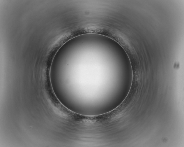 X0000091930690200709121559