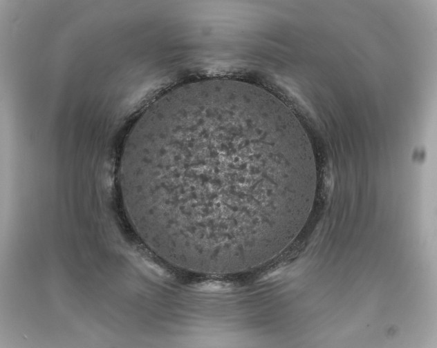 X0000091930691200709121559