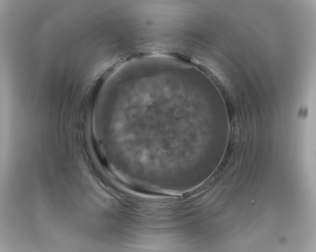 X0000091930692200709121559