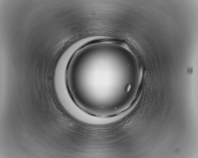 X0000091930693200709121559