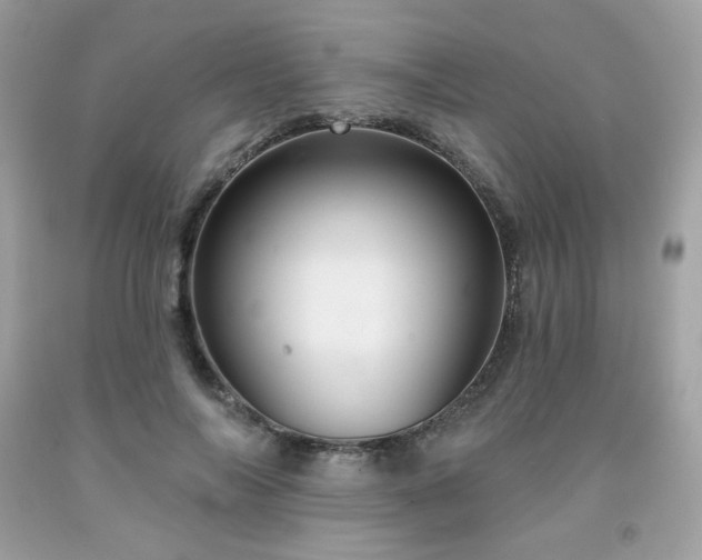 X0000091930694200709121559