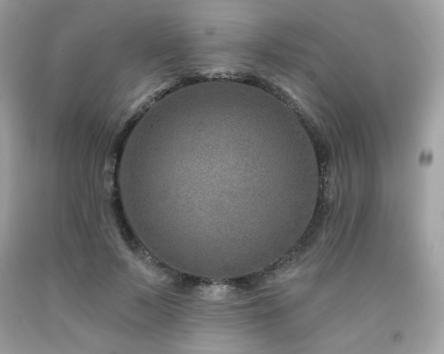 X0000091930695200709121559