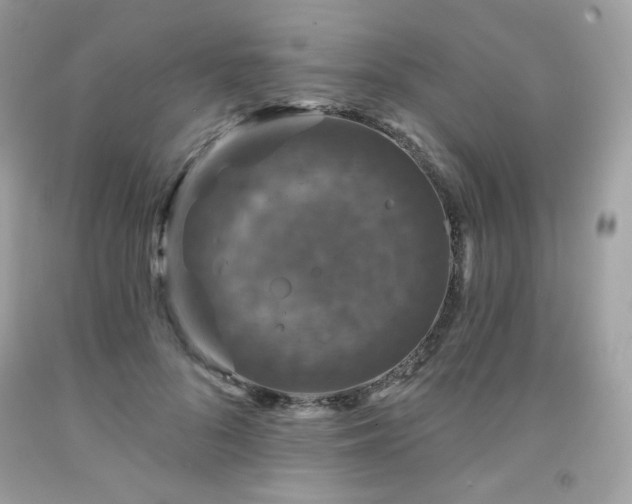X0000091930696200709121559