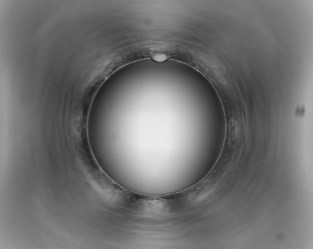 X0000091930698200709121559