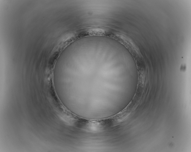 X0000091930701200709121559