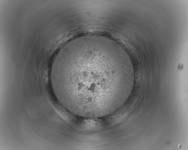 X0000091930703200709121559