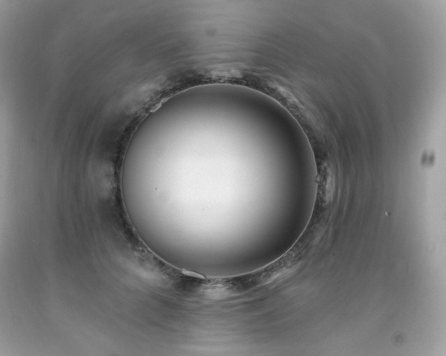 X0000091930704200709121559