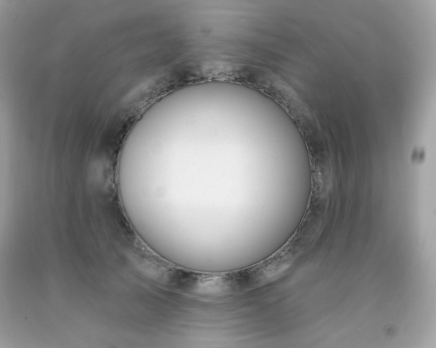 X0000091930705200709121559