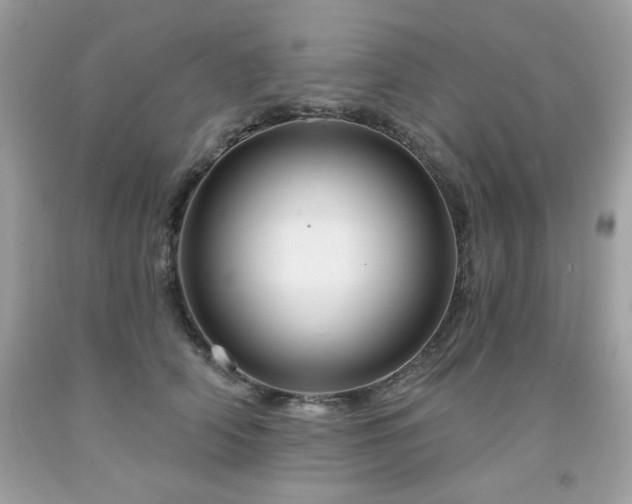 X0000091930706200709121559