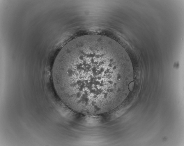 X0000091930707200709121559
