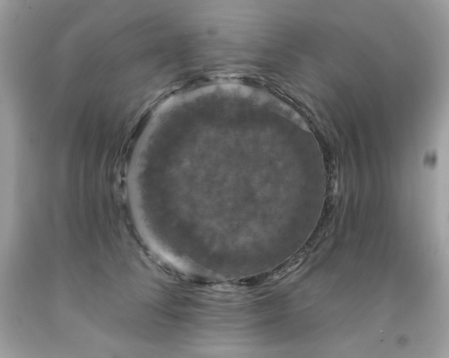 X0000091930708200709121559