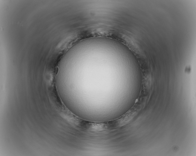 X0000091930709200709121559