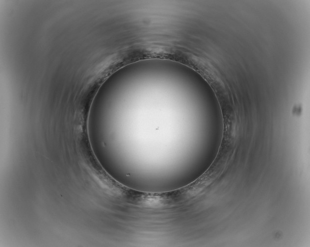 X0000091930710200709121559