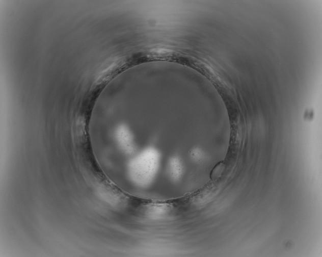 X0000091930711200709121559