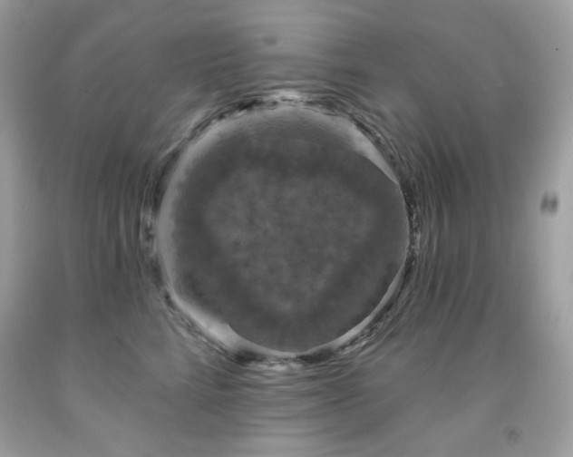 X0000091930712200709121559