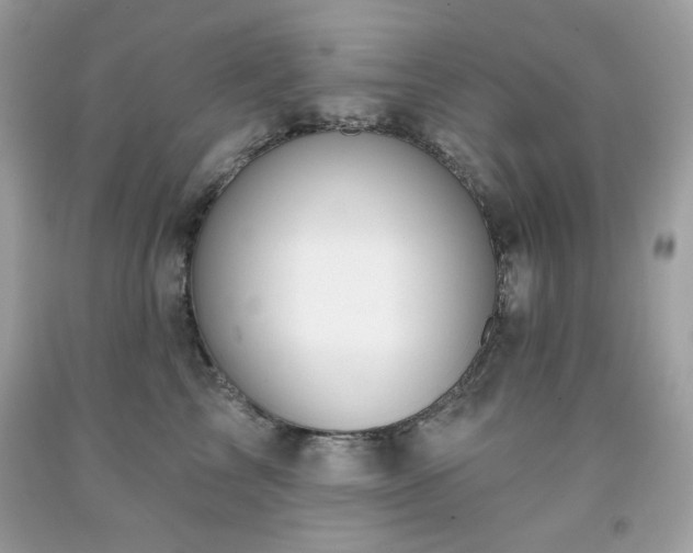 X0000091930713200709121559
