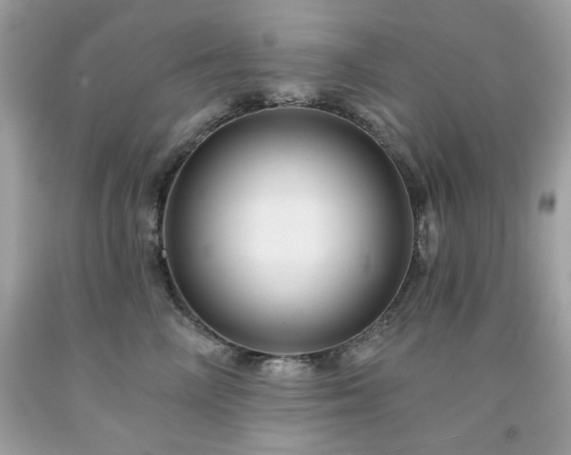 X0000091930714200709121559