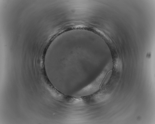 X0000091930715200709121559