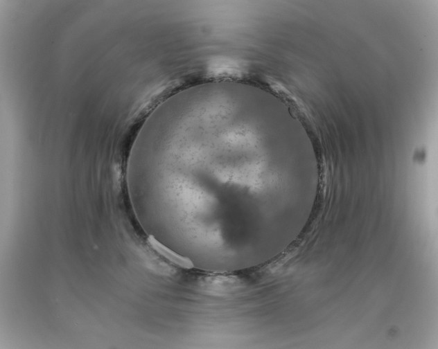 X0000091930716200709121559