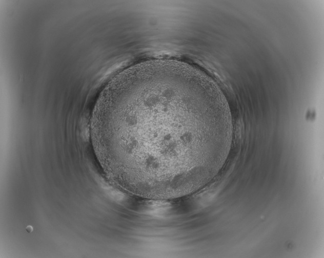 X0000091930719200709121559