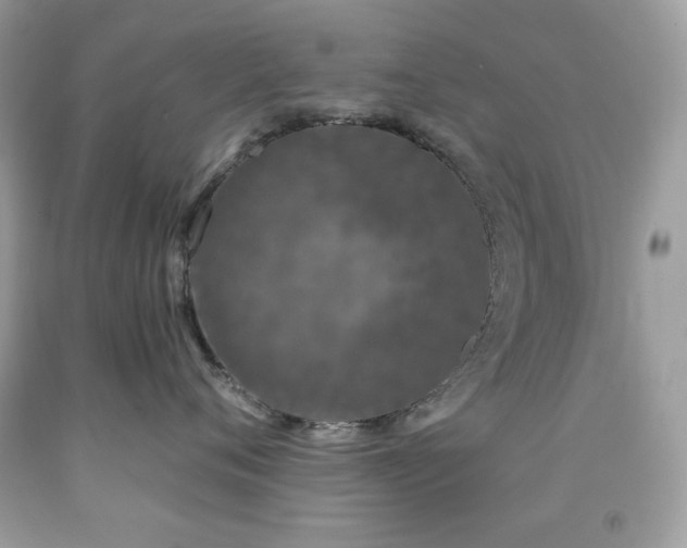 X0000091930720200709121559