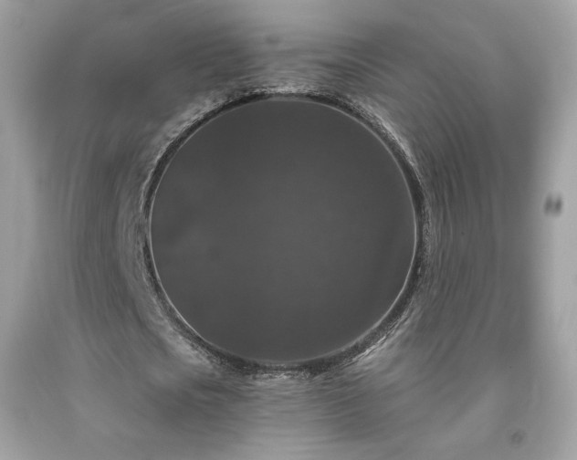 X0000091930721200709121558