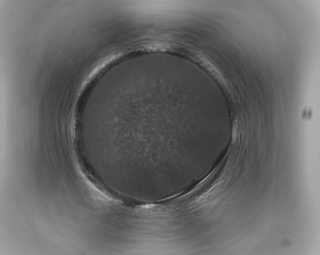 X0000091930722200709121558