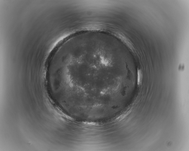 X0000091930723200709121558
