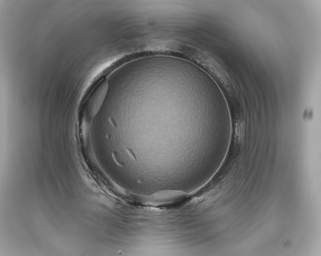 X0000091930724200709121558