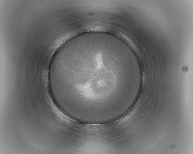 X0000091930725200709121558