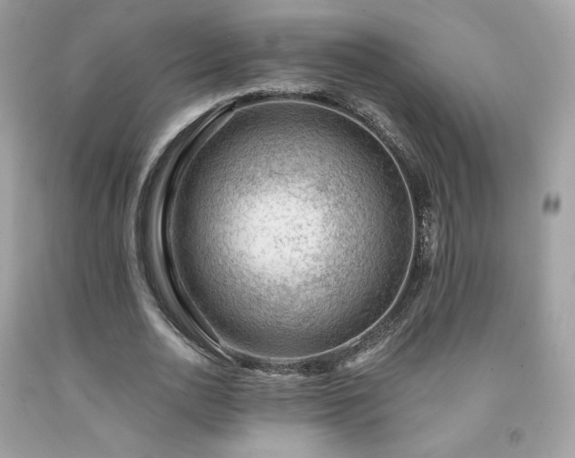 X0000091930726200709121558