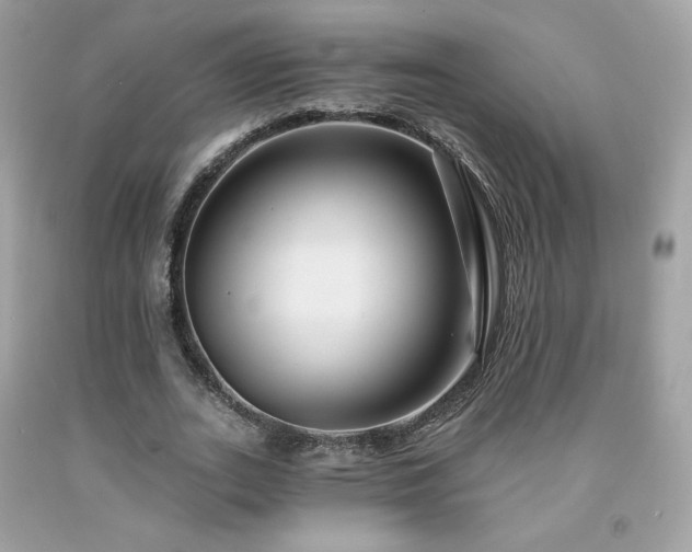 X0000091930727200709121558