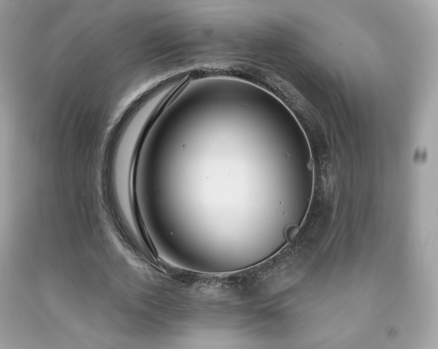 X0000091930728200709121558