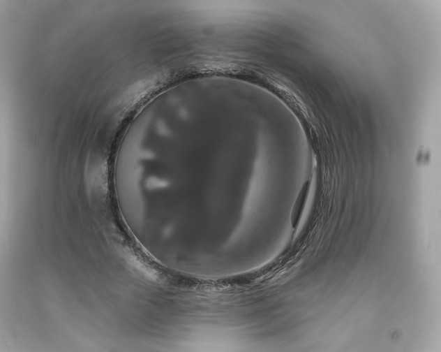 X0000091930729200709121558