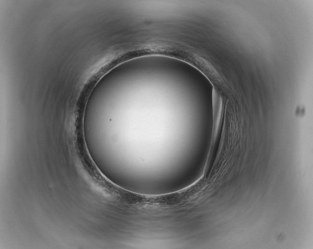 X0000091930730200709121558