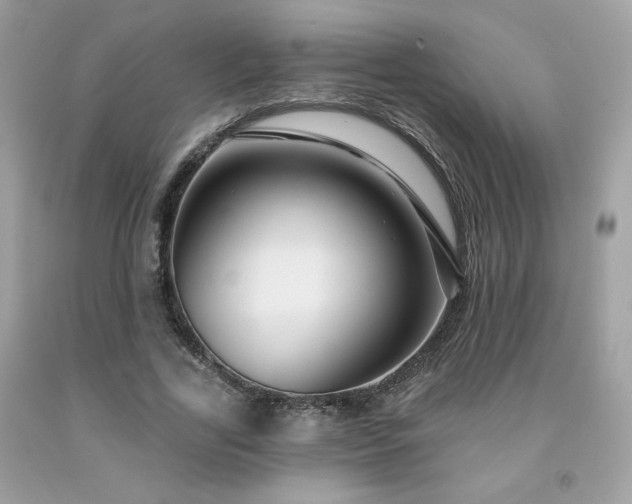 X0000091930731200709121558