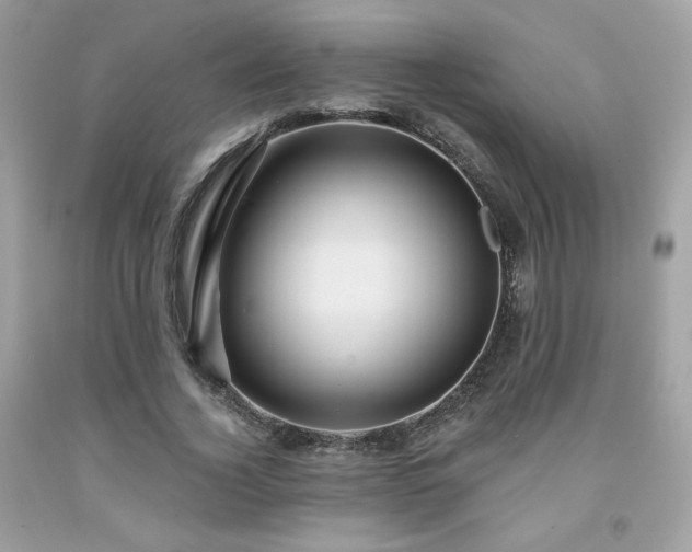 X0000091930732200709121558