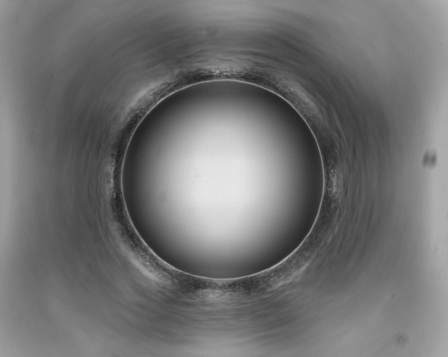 X0000091930733200709121558