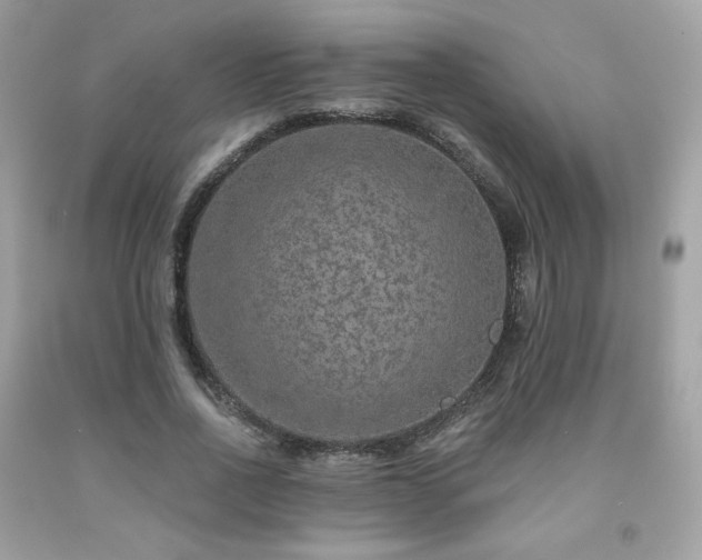 X0000091930734200709121558