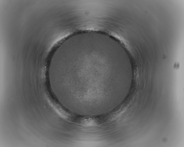 X0000091930735200709121558