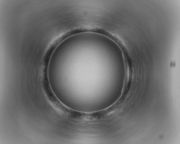X0000091930736200709121558