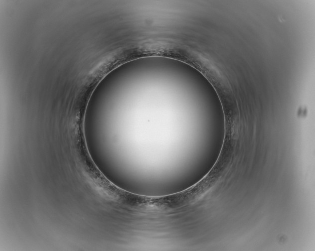 X0000091930737200709121558