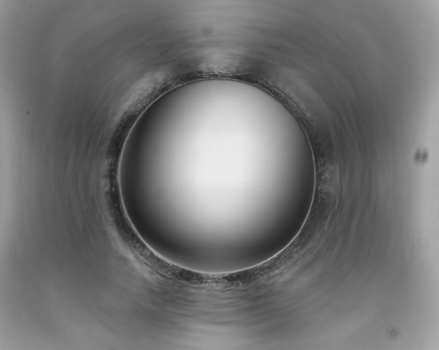 X0000091930738200709121558