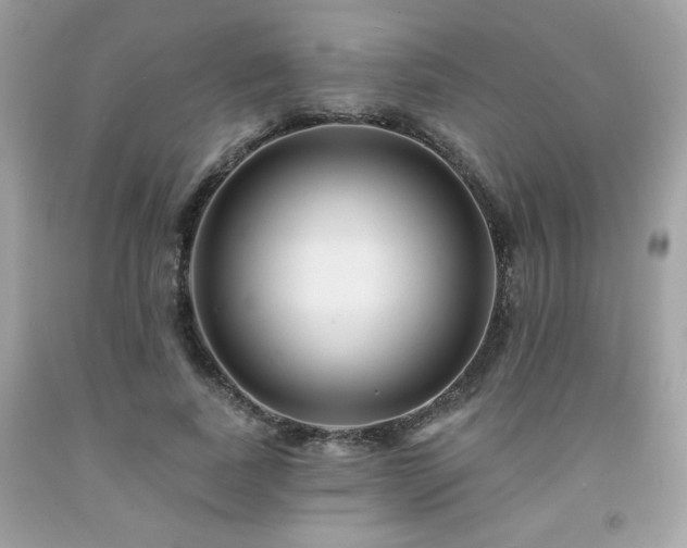X0000091930739200709121558