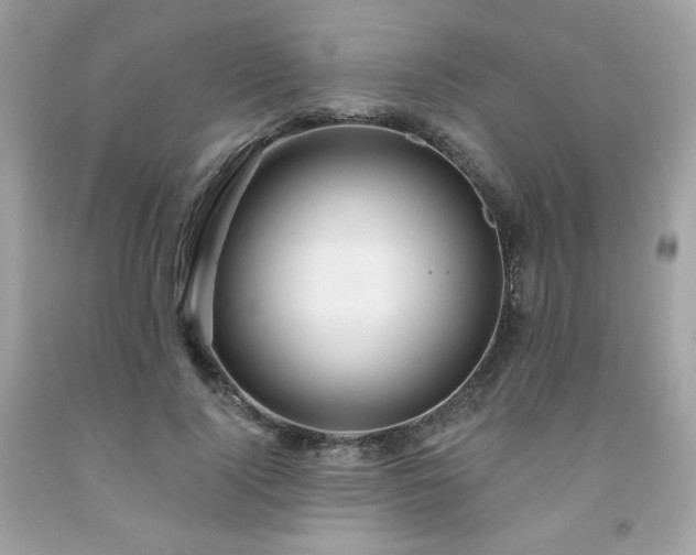 X0000091930740200709121558