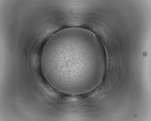 X0000091930743200709121558