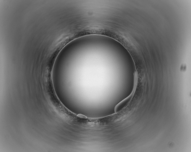 X0000091930744200709121558